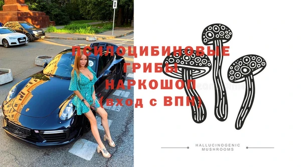 амф Магадан