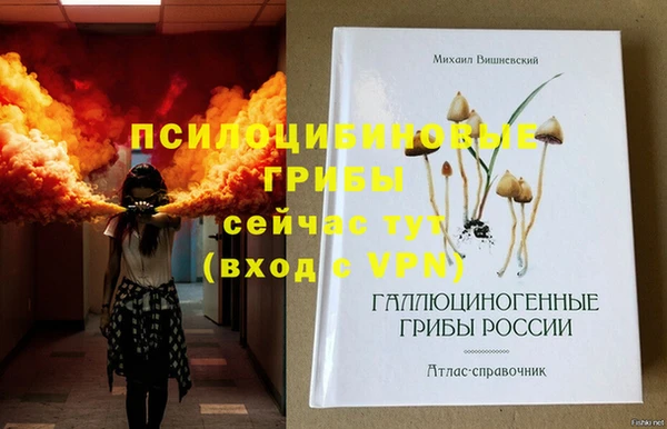 амф Магадан