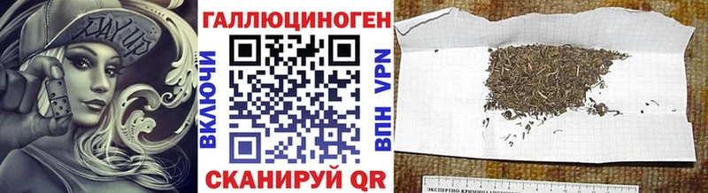 Псилоцибиновые грибы Psilocybe Реутов
