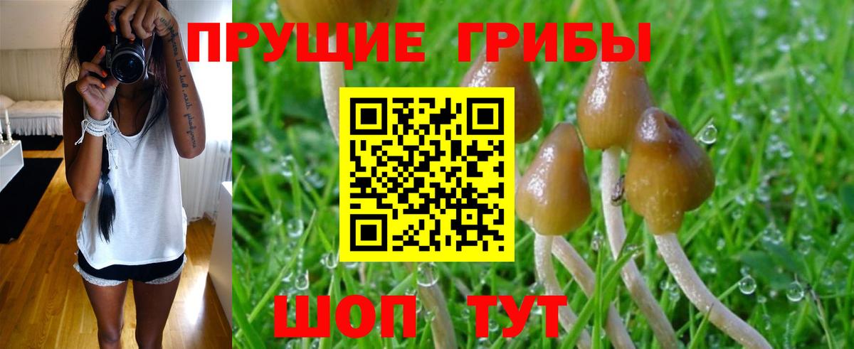 Псилоцибиновые грибы Cubensis  Вход с VPN  Галлюциногенные грибы GOLDEN TEACHER  Реутов 